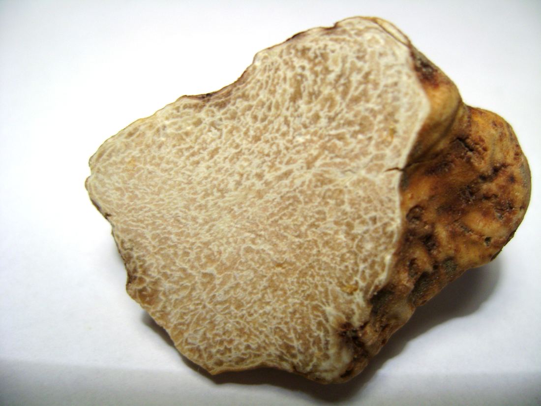 A sliced white truffle showing its pale flesh with fine white marbling